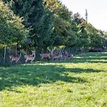 Untersbergblick Apartman