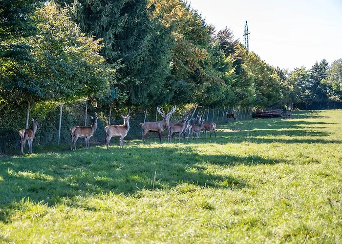 Untersbergblick Apartamento Freilassing